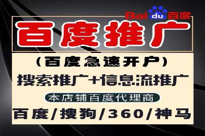 深入了解SEM托管公司的操作技巧与成功案例